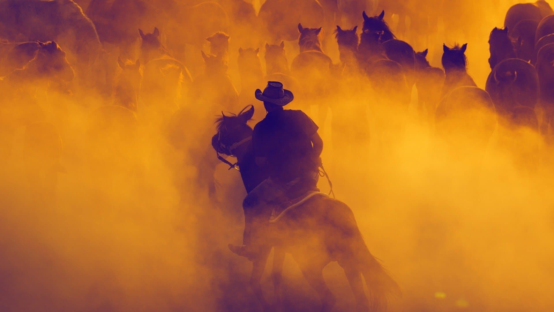 Backdrop for Out Where the West Begins