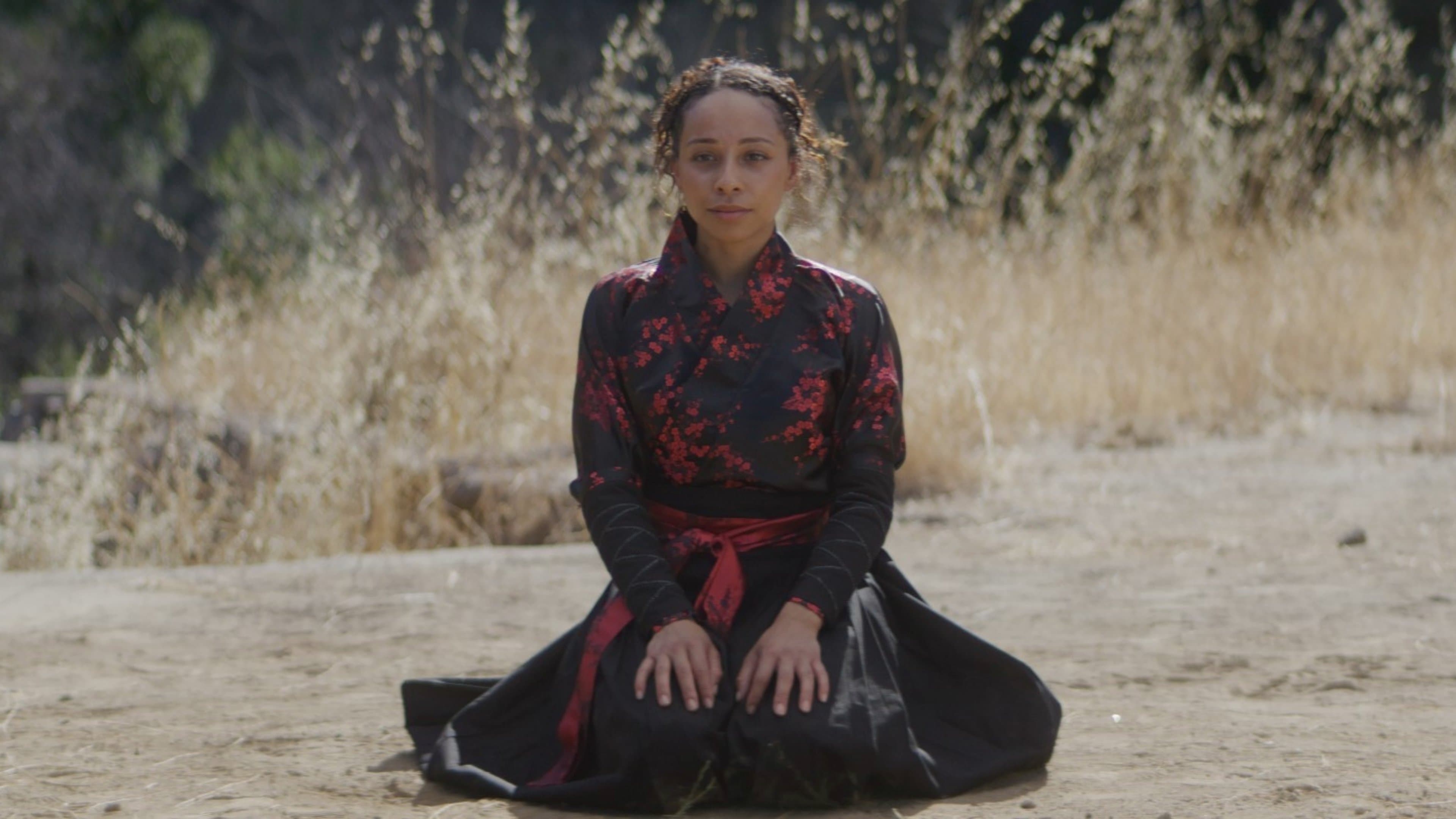 Achtergrond voor The Perfect Warrior