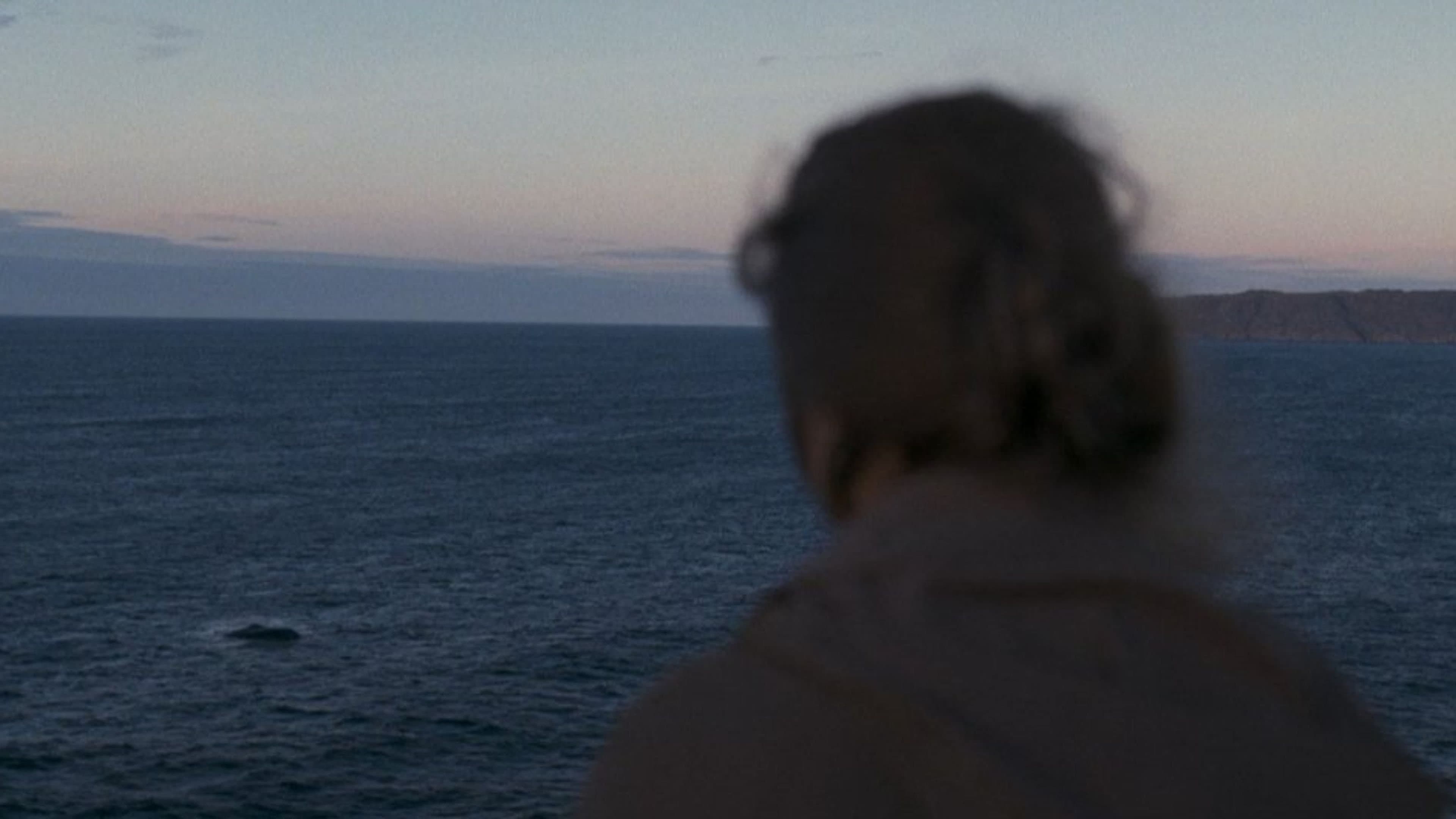 Backdrop for At the Sea