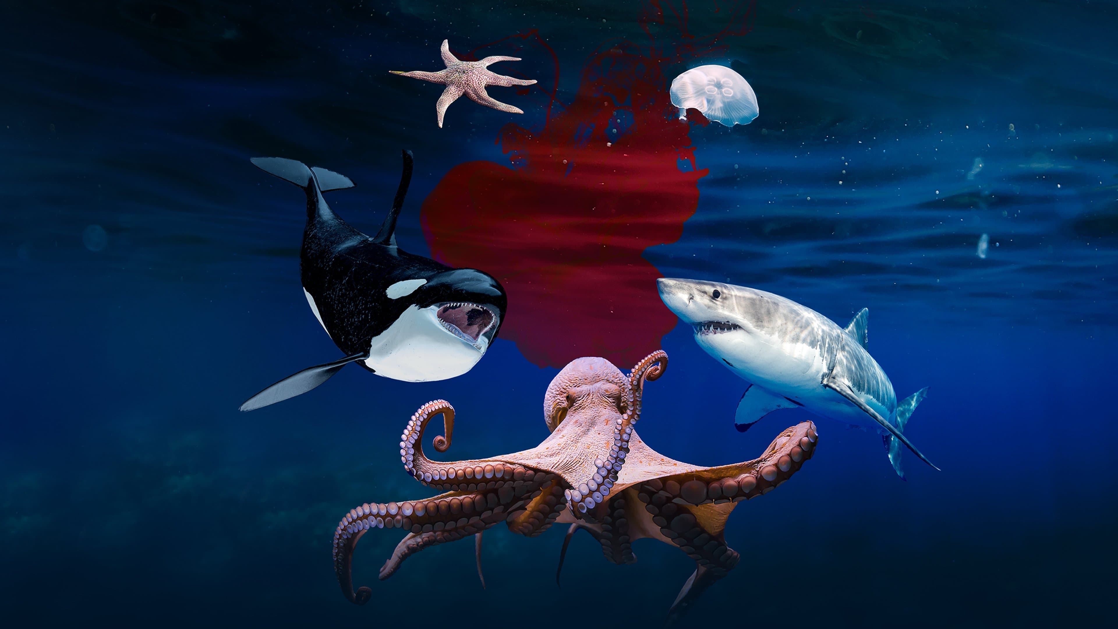 Backdrop for Deep Sea Killers
