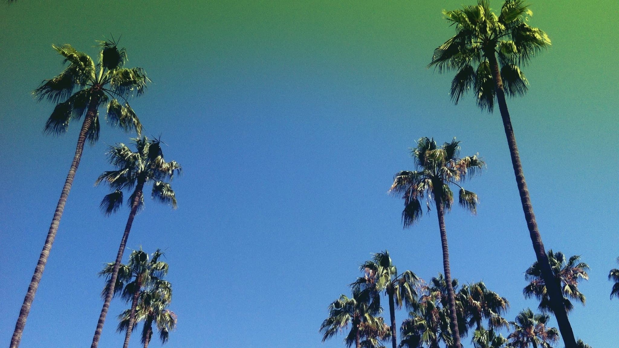 Backdrop for Lost in LA