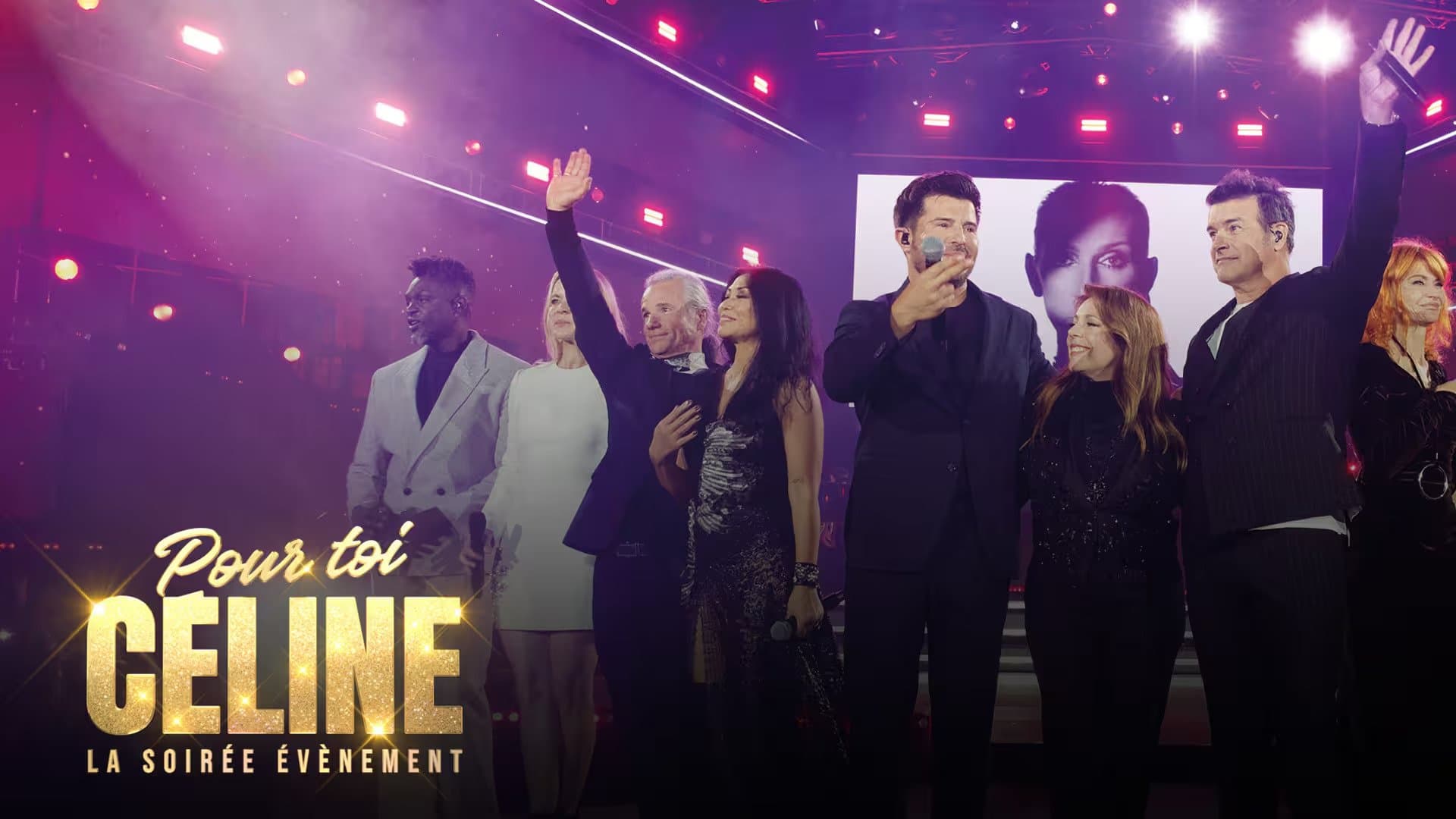 Backdrop for Pour toi Céline: La soirée évènement