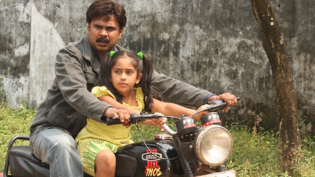 Achtergrond voor മോസ് & കാട്
