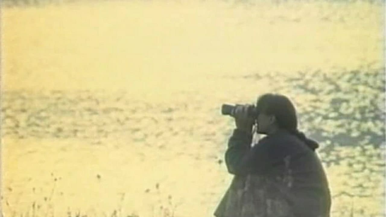 Backdrop for Доски судьбы