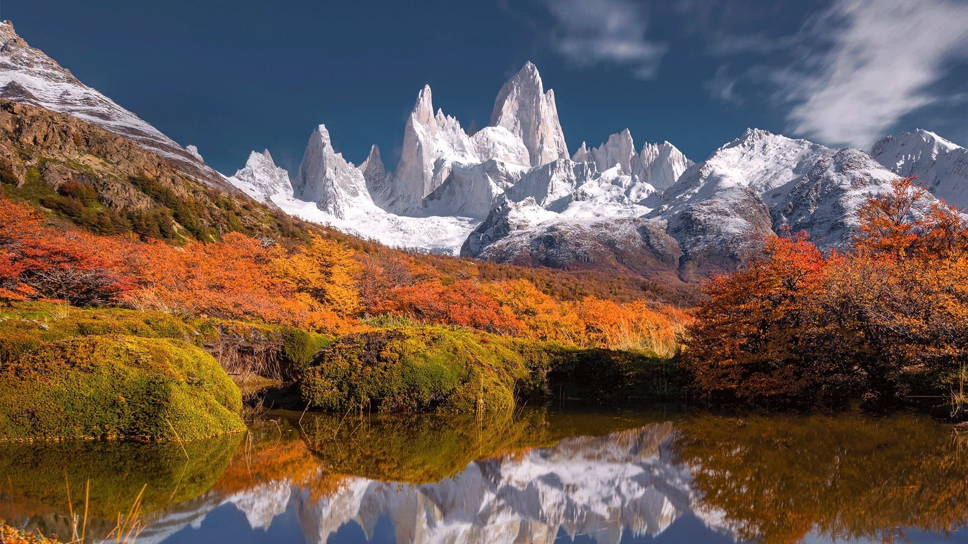 Backdrop for Aerial Argentina