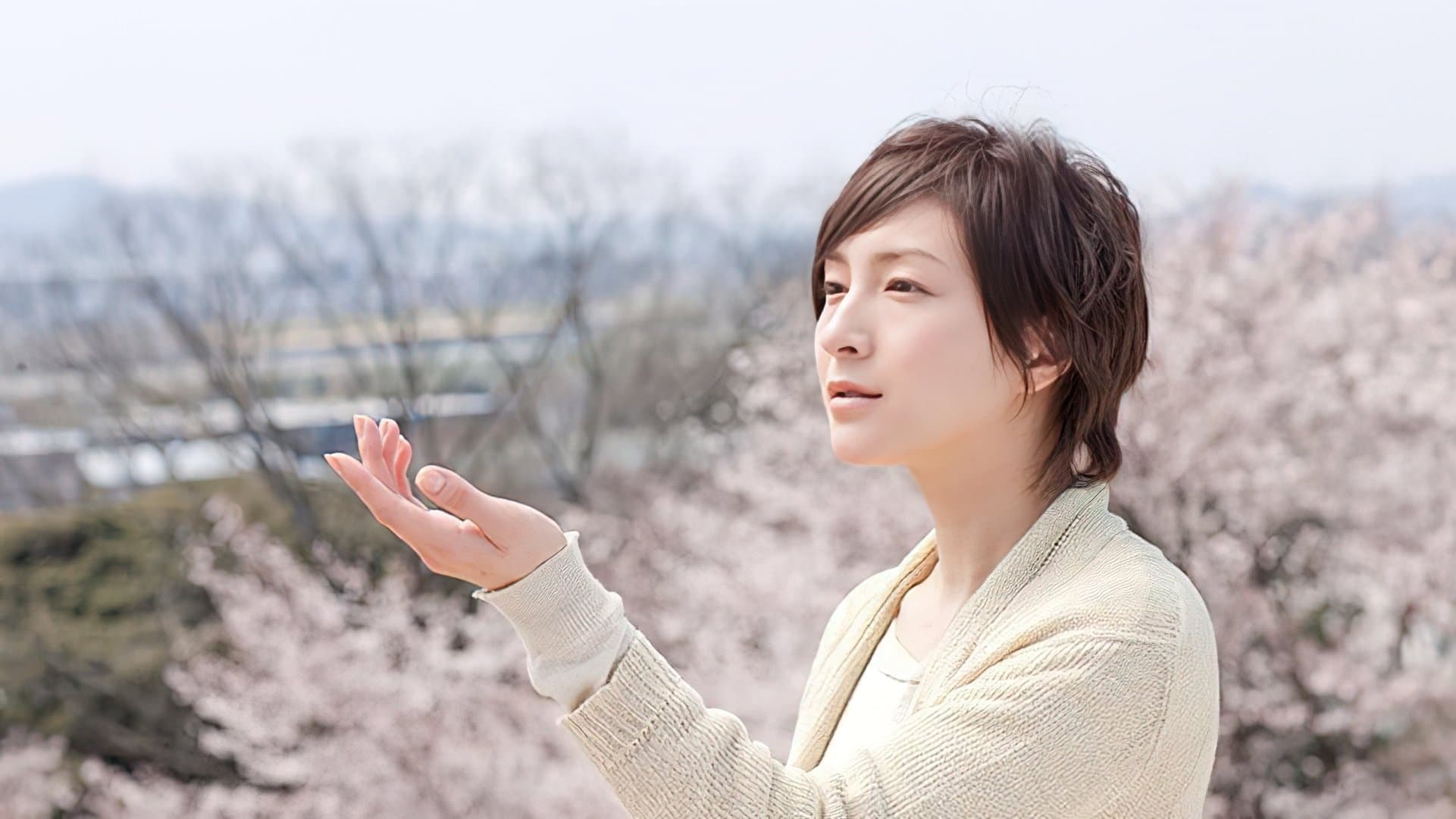 Backdrop for 桜、ふたたびの加奈子