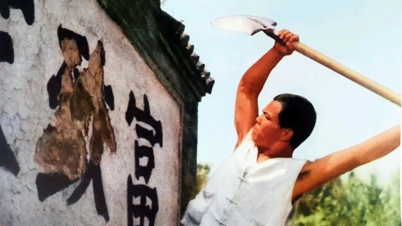 Backdrop for 金光大道（上集）