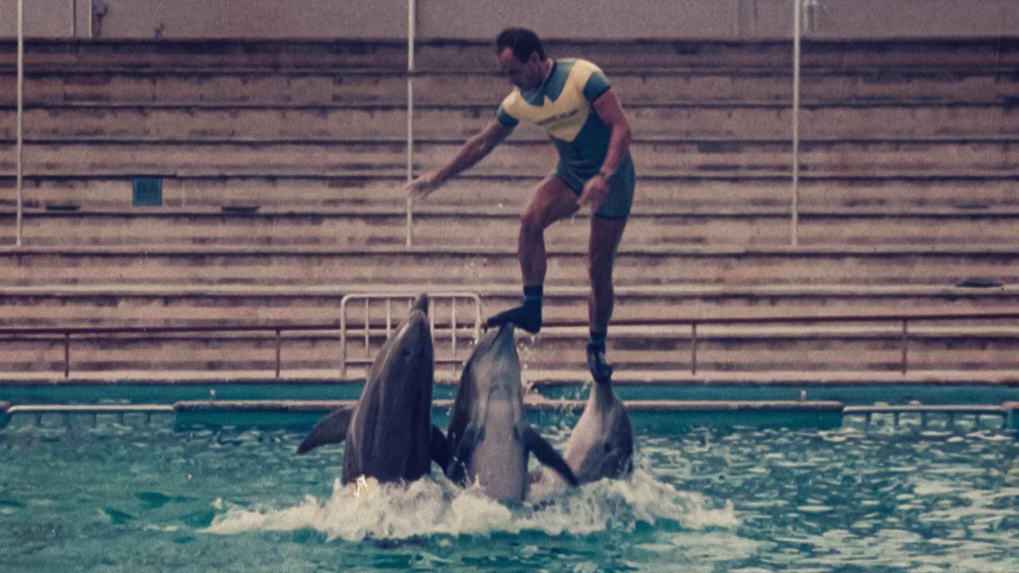 Backdrop for ¿Qué le pasó al rey de los delfines?