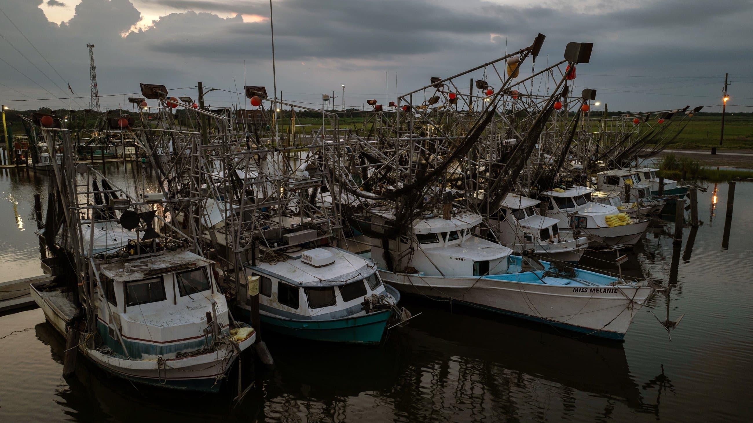 Backdrop for Last of the Shrimpers