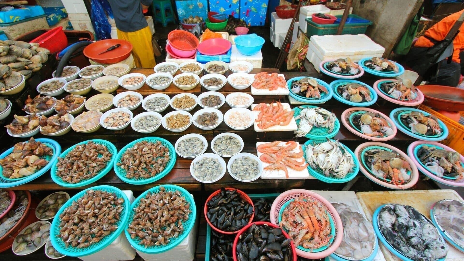 Backdrop for Corée du Sud, leçons de gastronomie