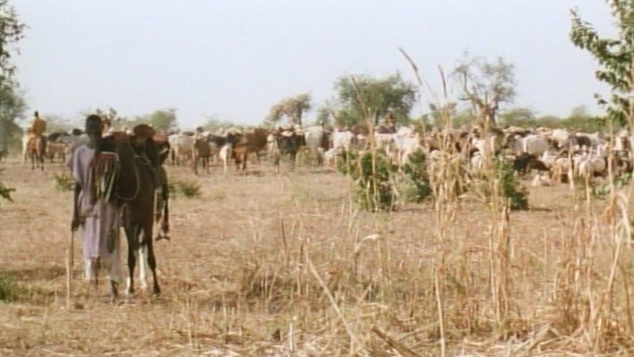 Backdrop for La colère des dieux