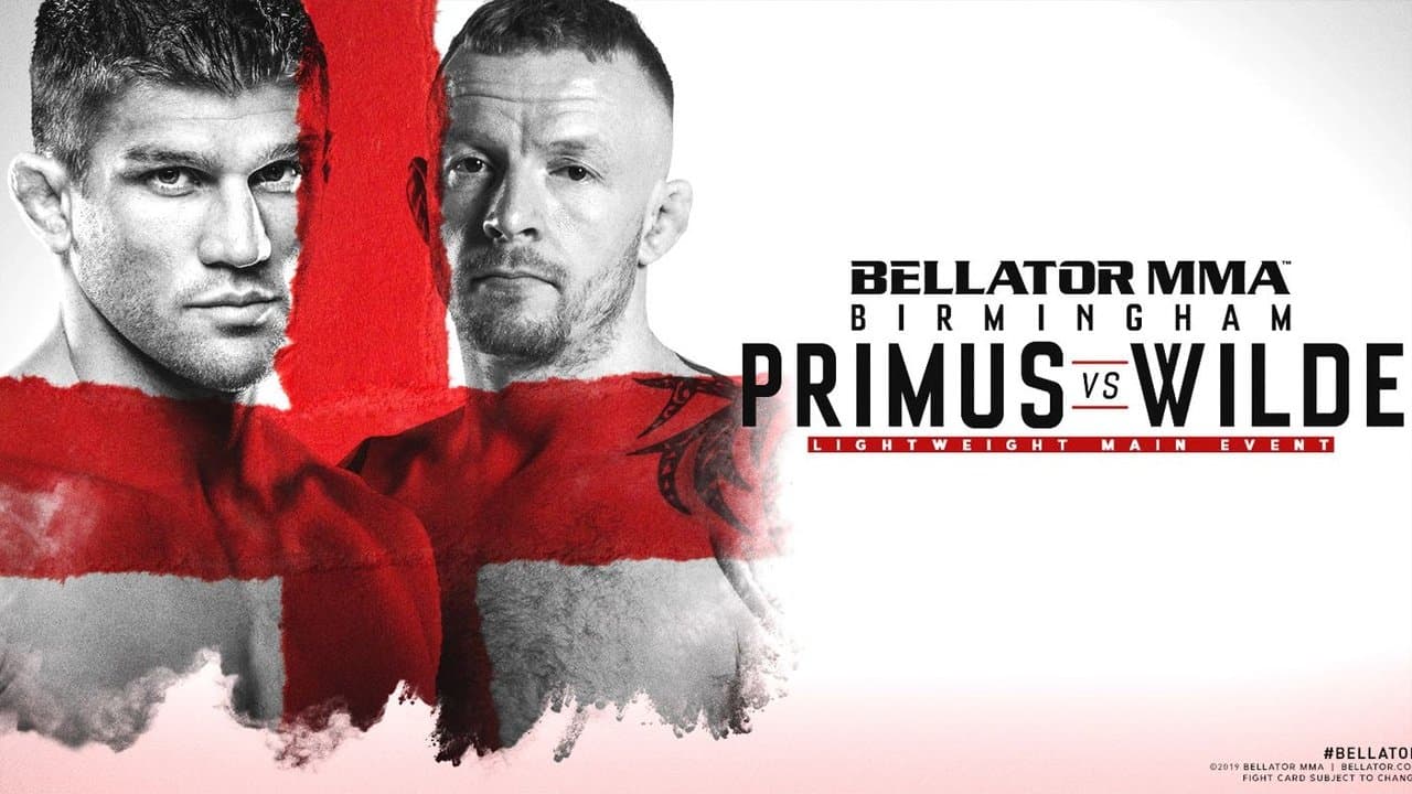Backdrop for Bellator Birmingham