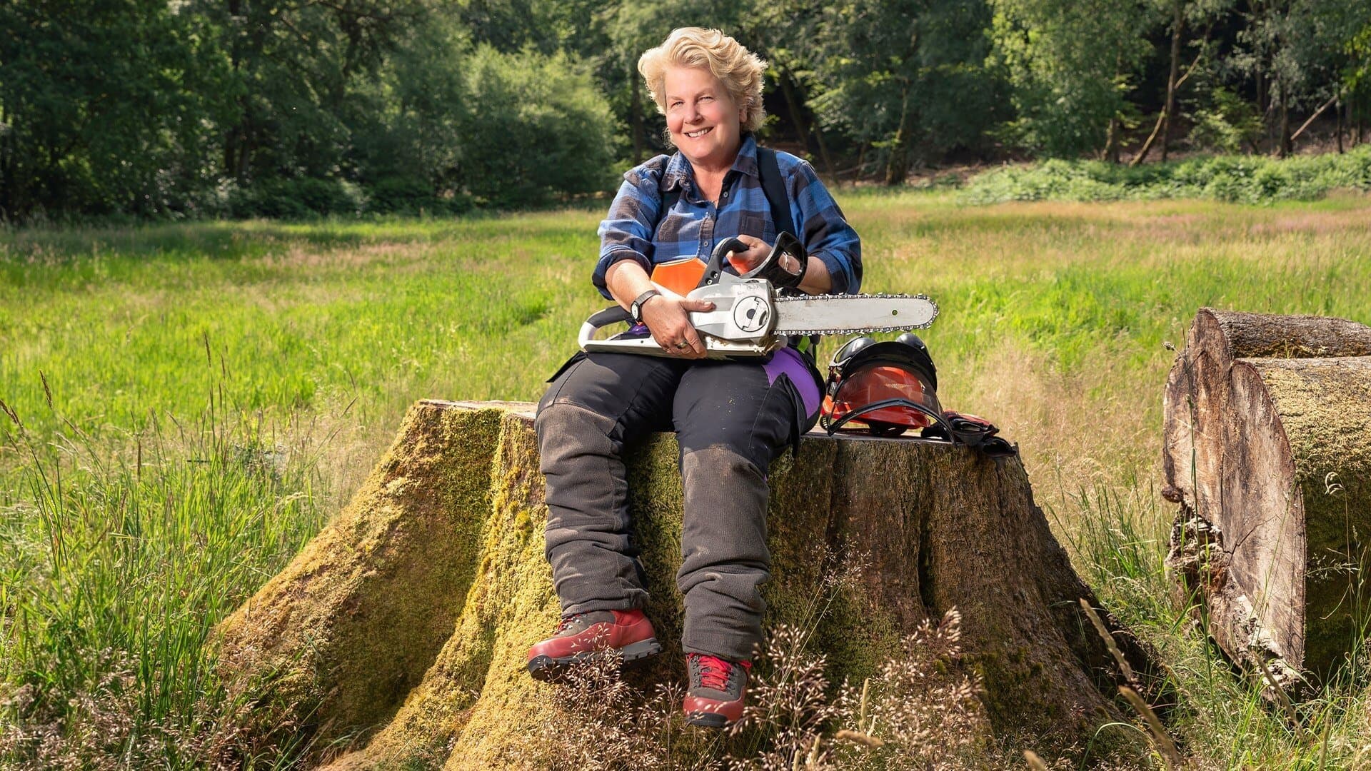 Backdrop for Sandi's Great British Woodland Restoration