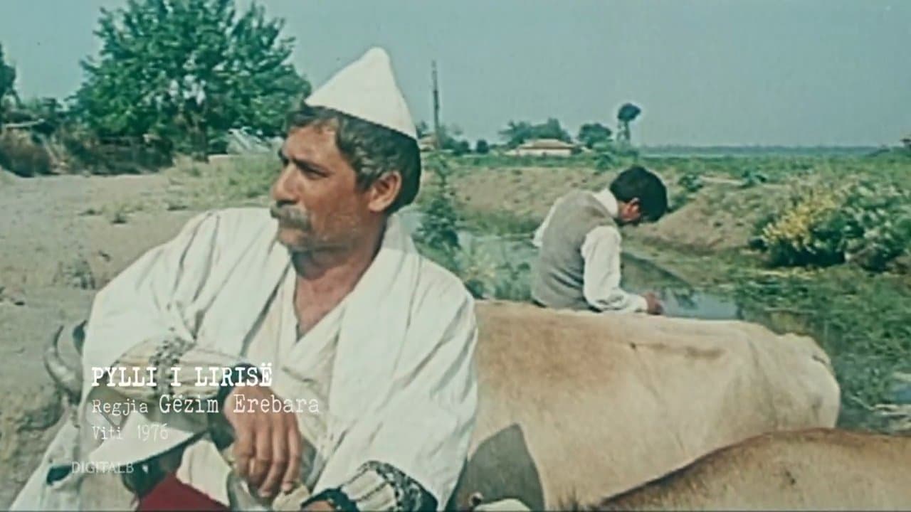 Backdrop for Pylli i lirisë
