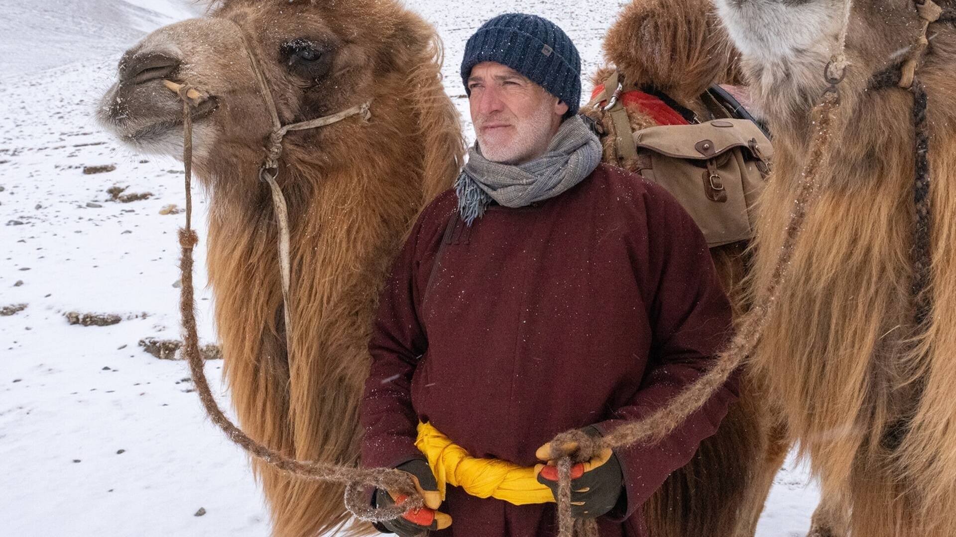 Backdrop for My Epic Camel Adventure With Gordon Buchanan