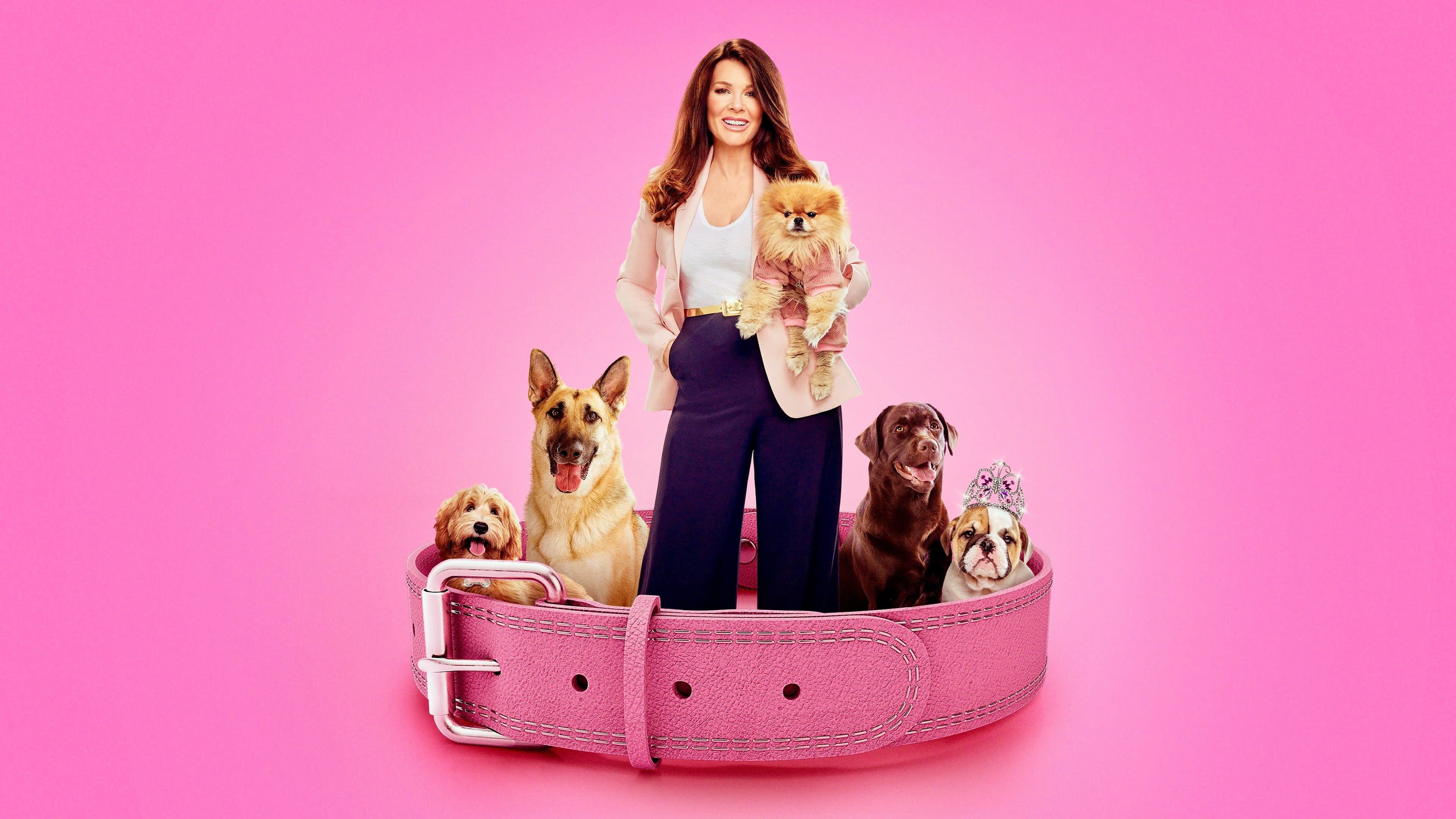 Backdrop for Vanderpump Dogs