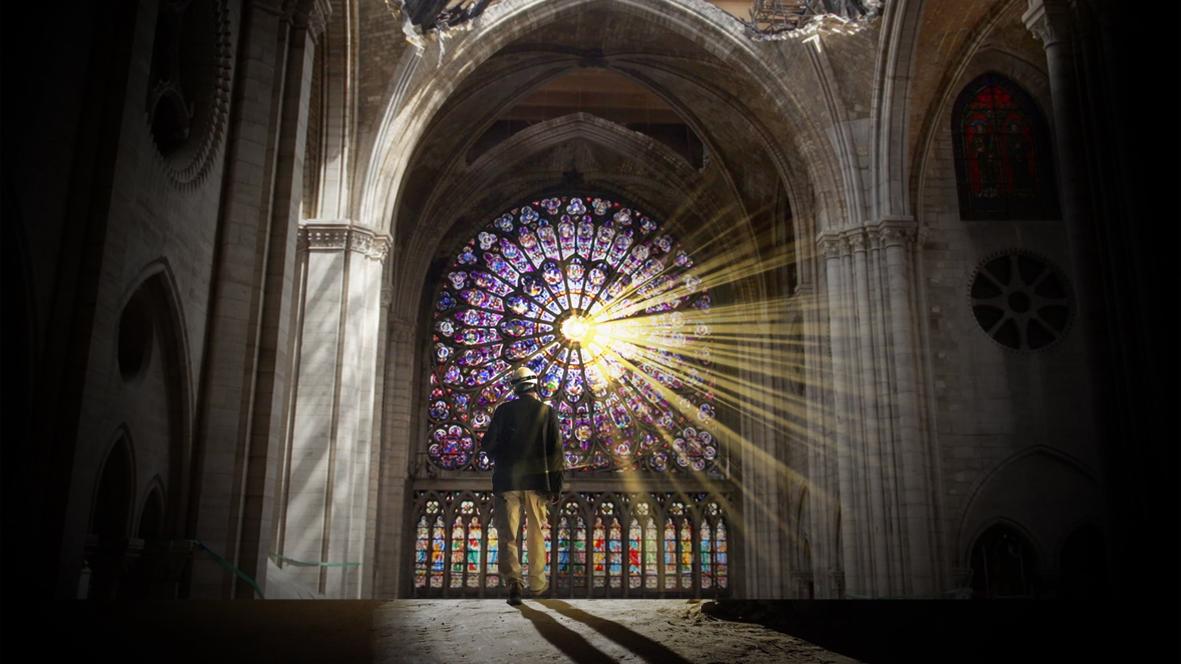 Backdrop for Rebuilding Notre-Dame