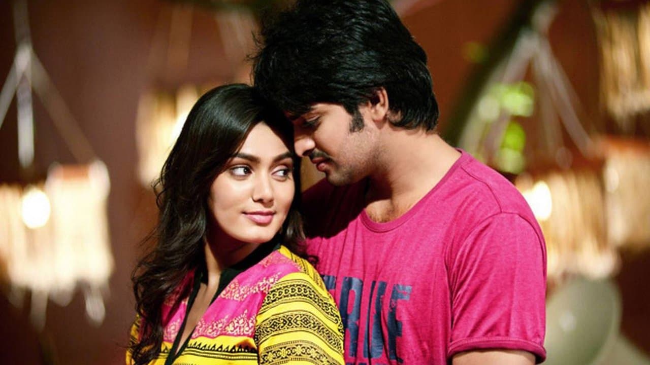 Backdrop for దిక్కులు చూడకు రామయ్య
