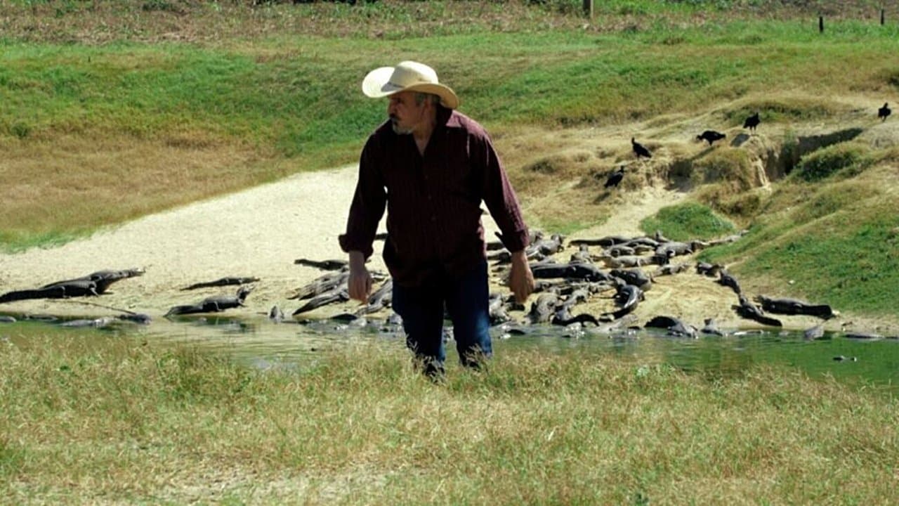 Backdrop for Do Sul, A Vingança