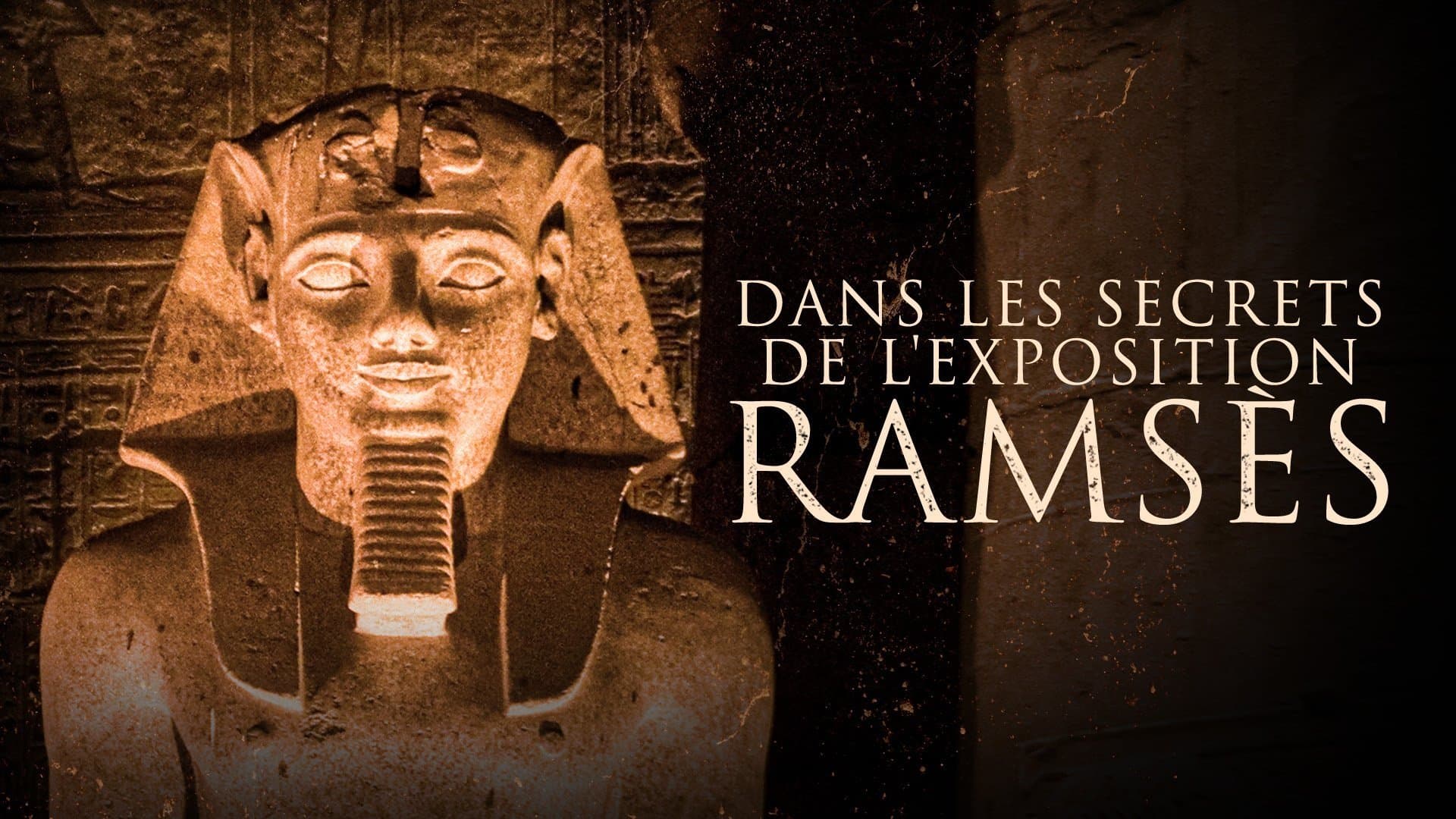 Backdrop for Dans les secrets de l'exposition Ramsès