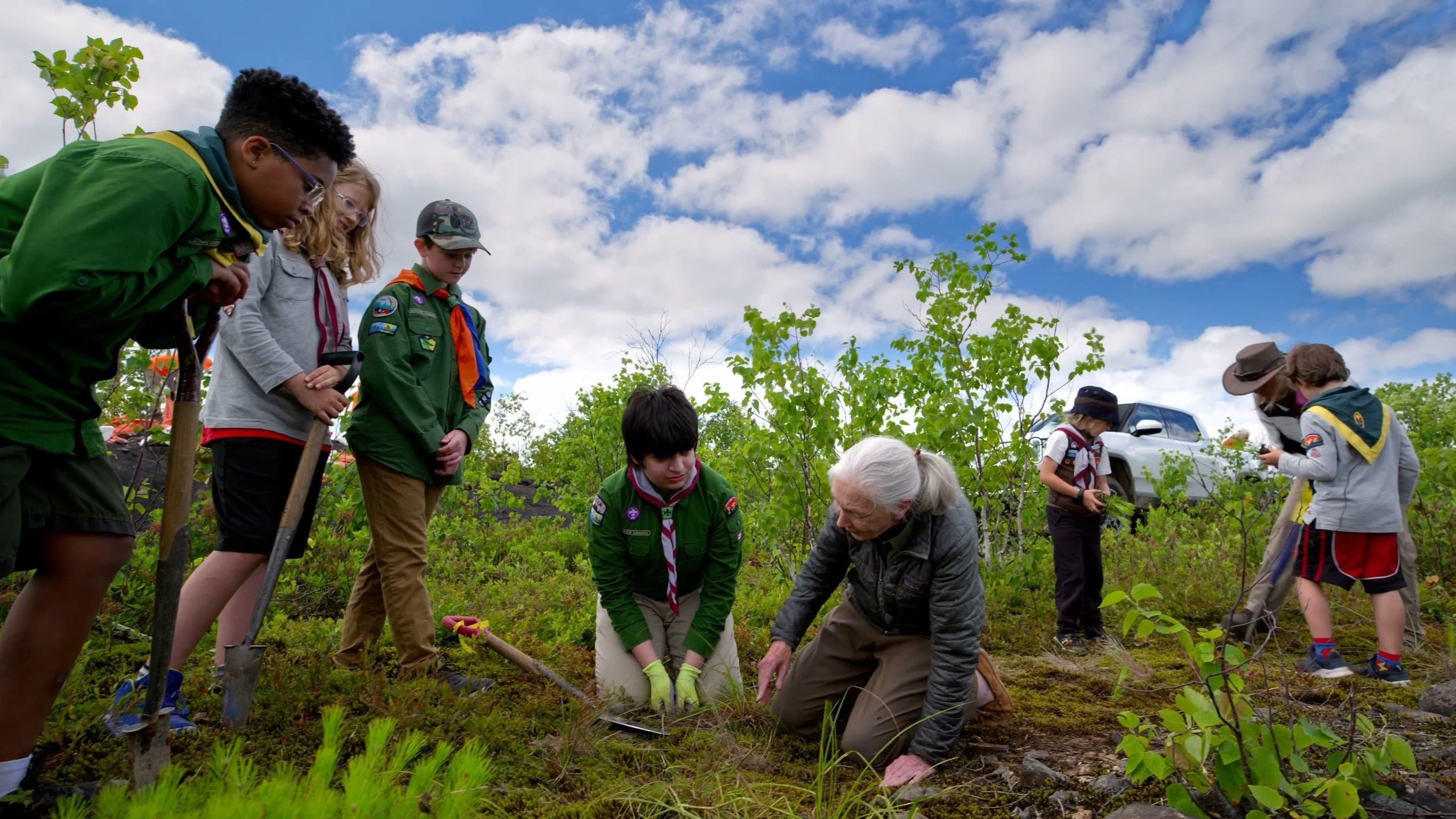 Backdrop for Jane Goodall: Reasons for Hope