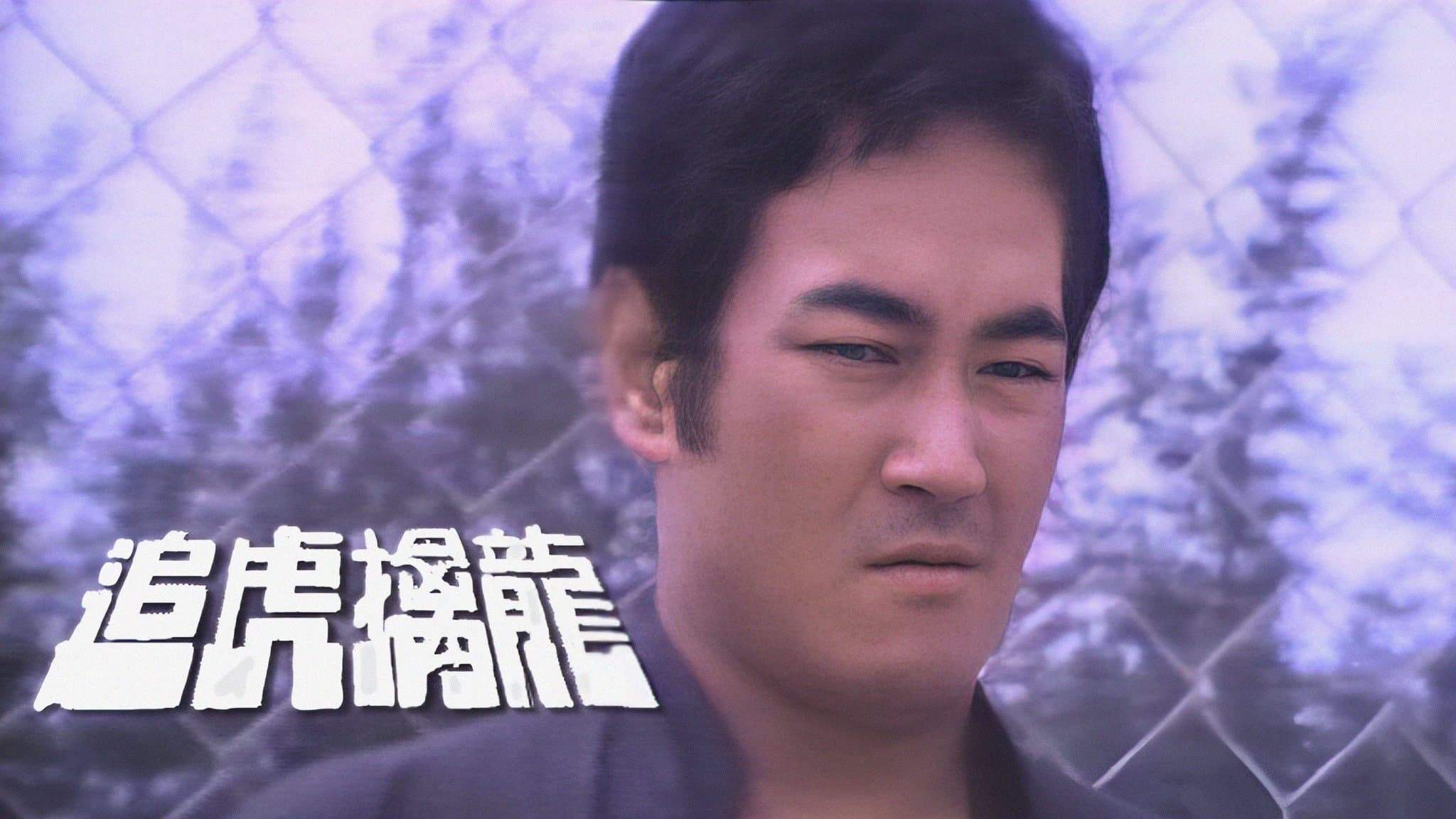 Backdrop for 追虎擒龍