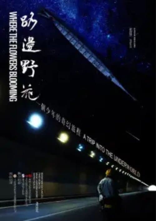 路边野花