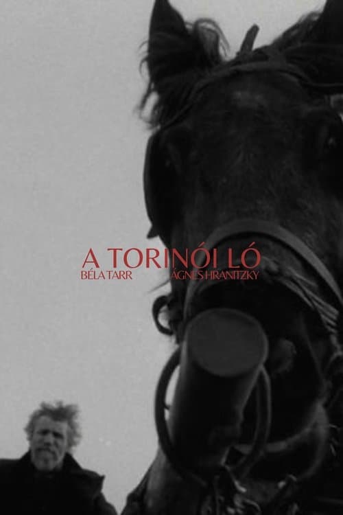 A torinói ló