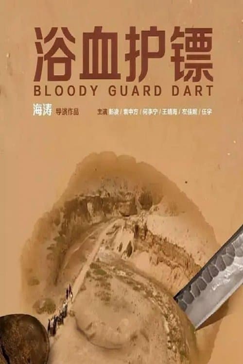 浴血护镖