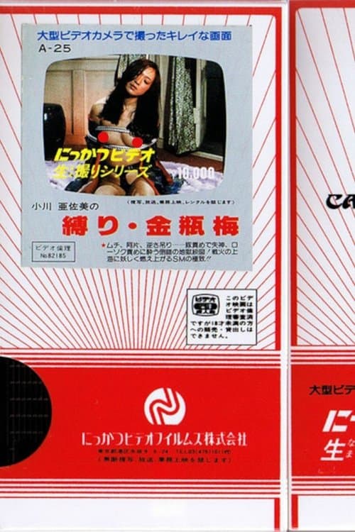 小川亜佐美の　縛り・金瓶梅