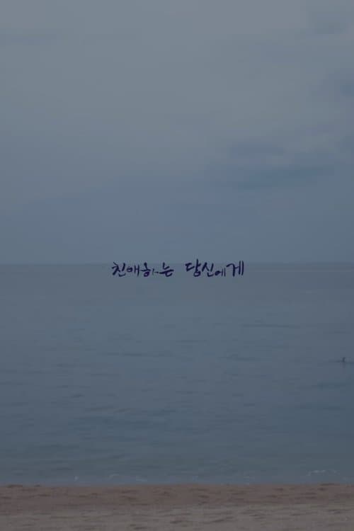 친애하는 당신에게