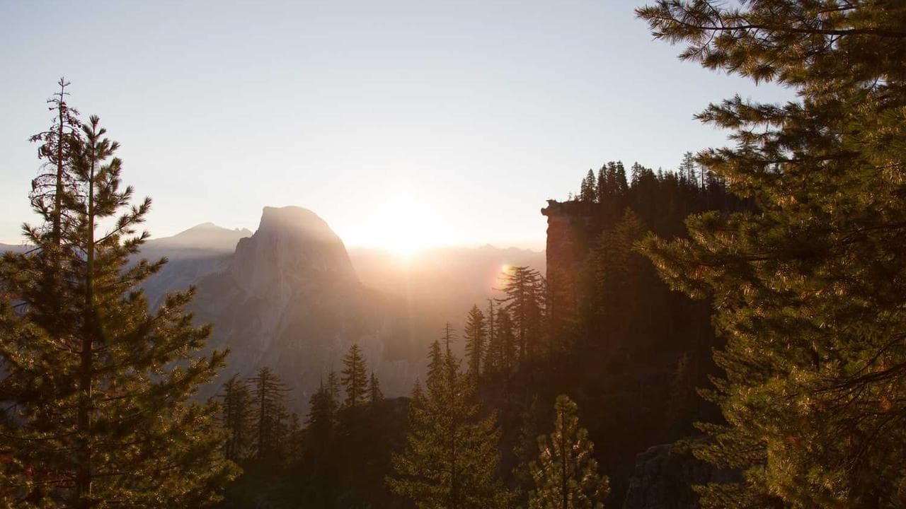 Backdrop for Visions of a Woman