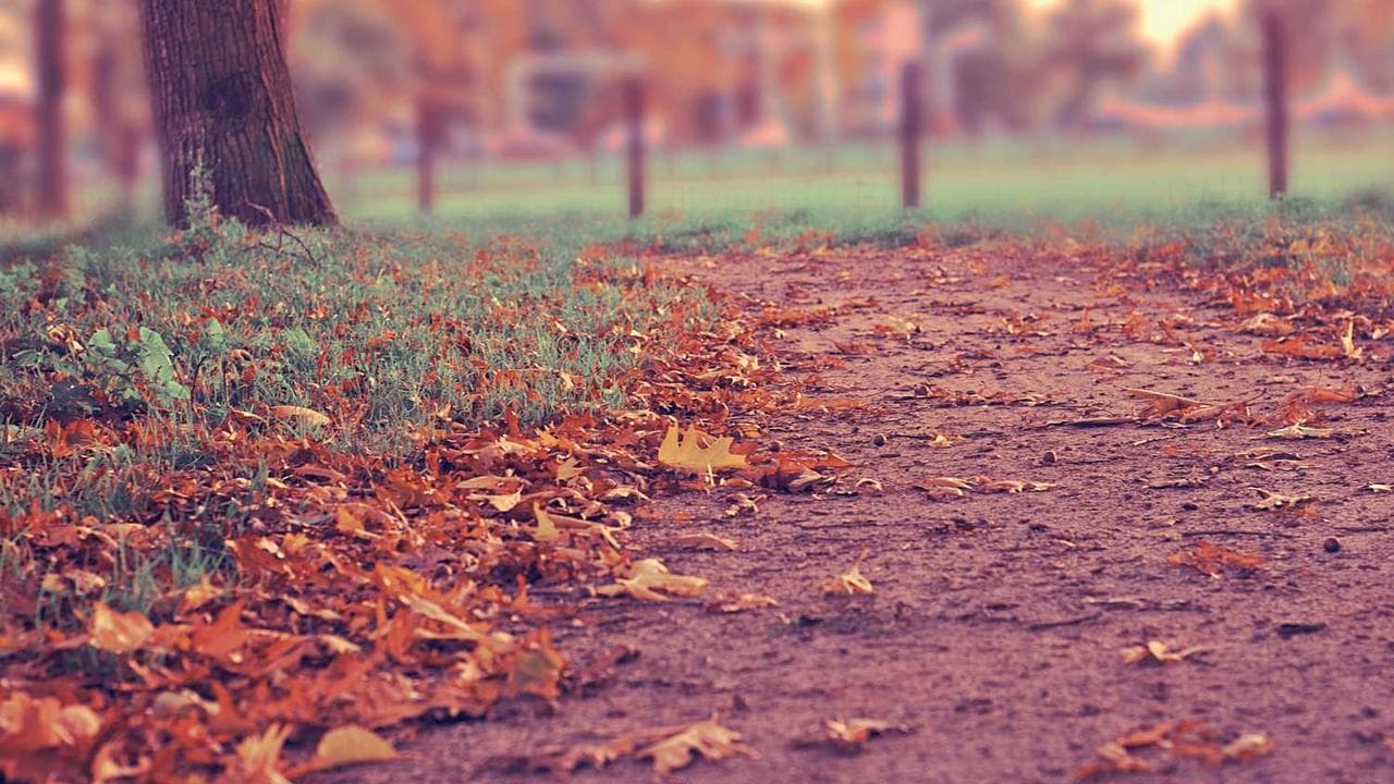 Achtergrond voor Carrie's Secret