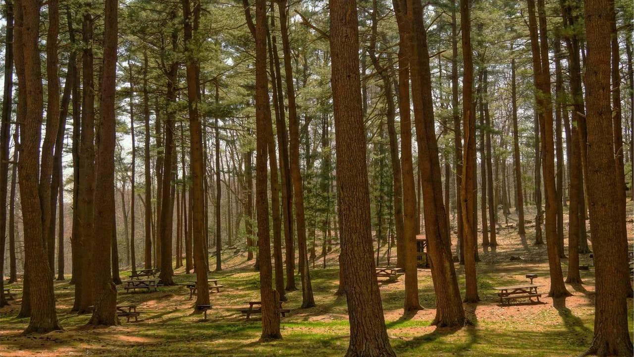 Achtergrond voor Ready Cash