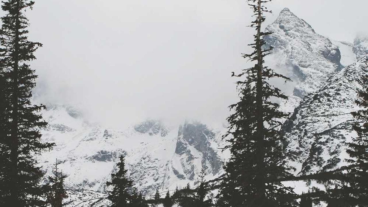 Achtergrond voor شهرآشوب