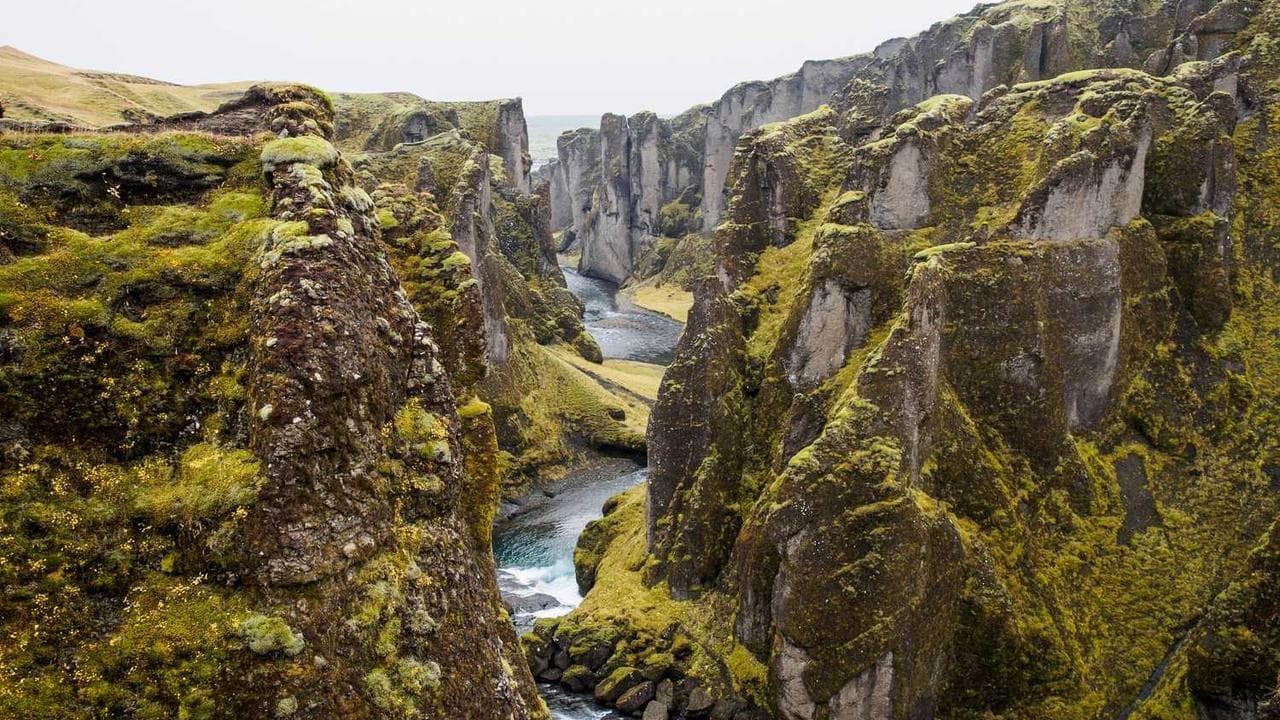 Backdrop for The Cannibal That Walked Free