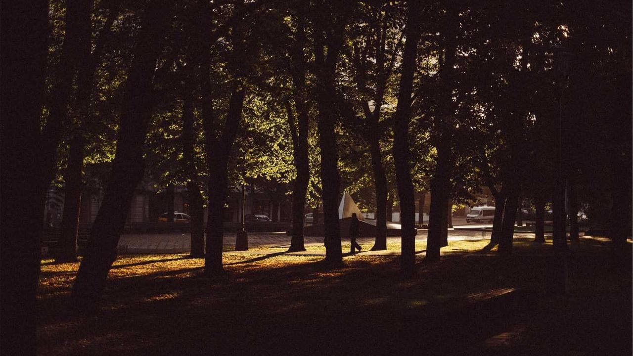 Backdrop for Campus Confessions 6