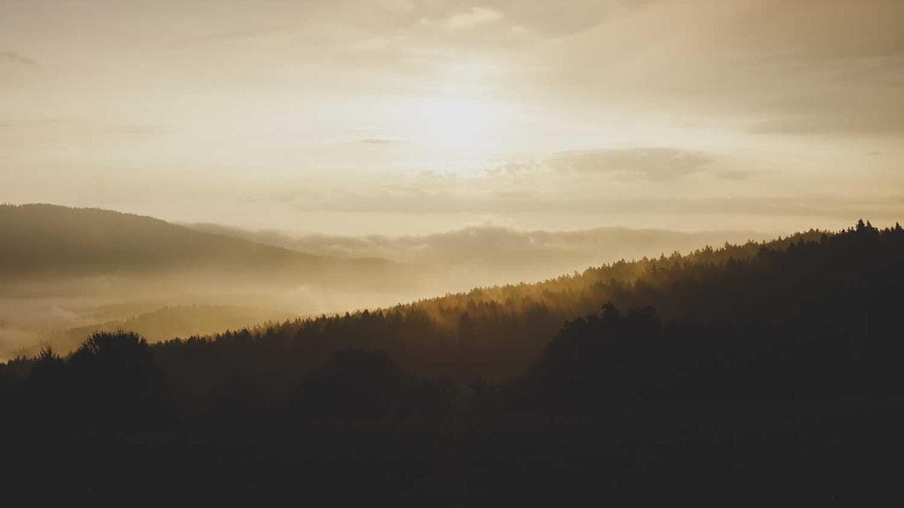 Achtergrond voor Straight Boys Fucking! 7