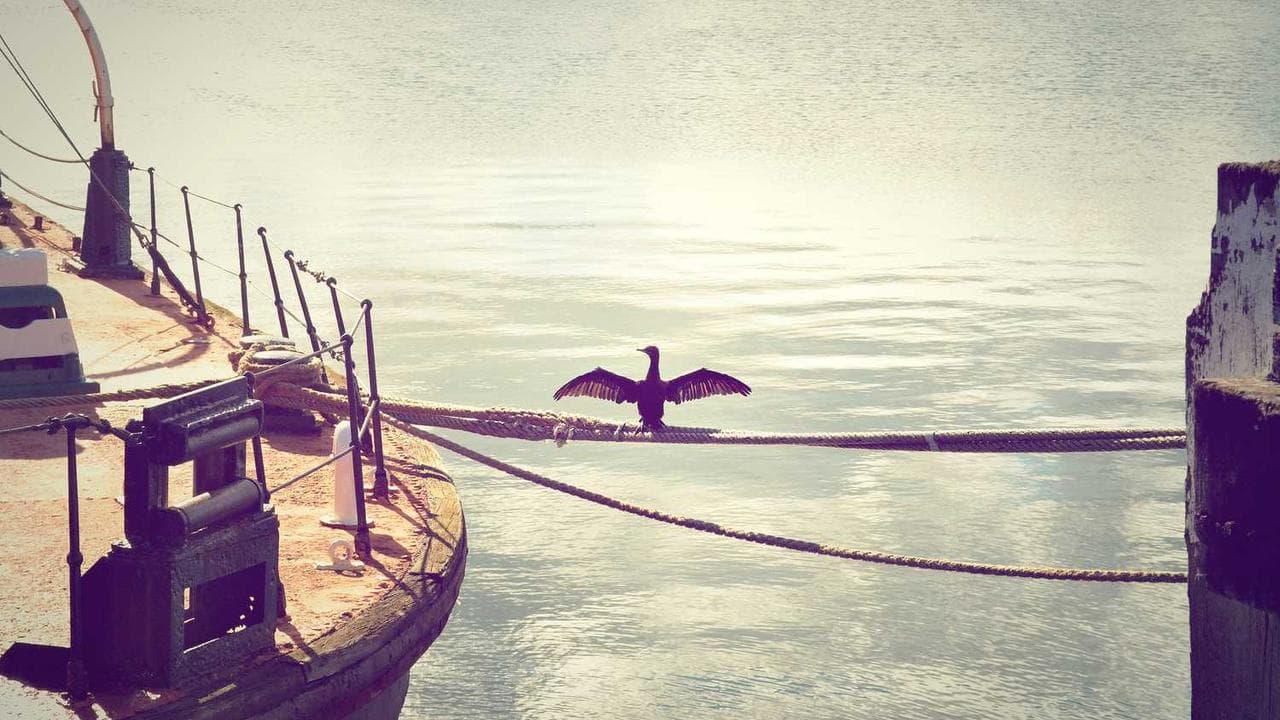 Backdrop for এক পৃথিবী প্রেম