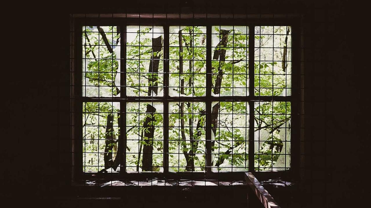 Backdrop for Тревога