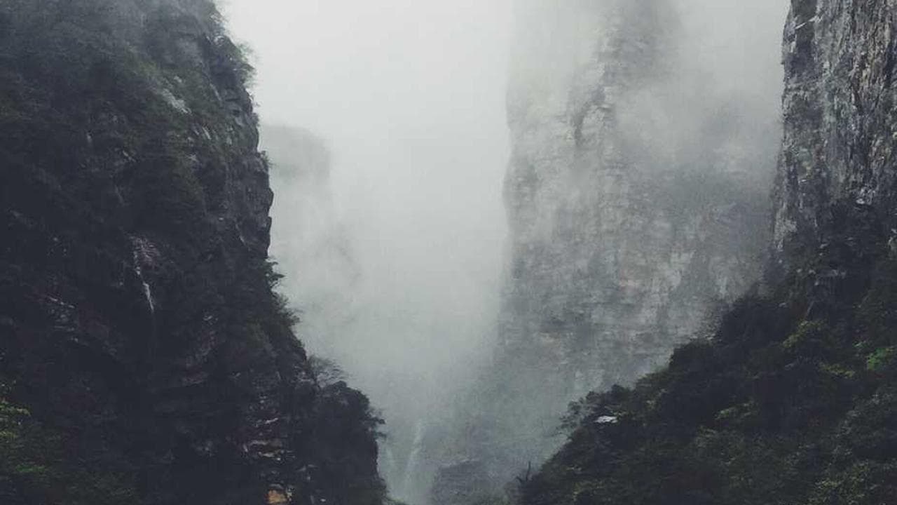 Backdrop for 最佳时机