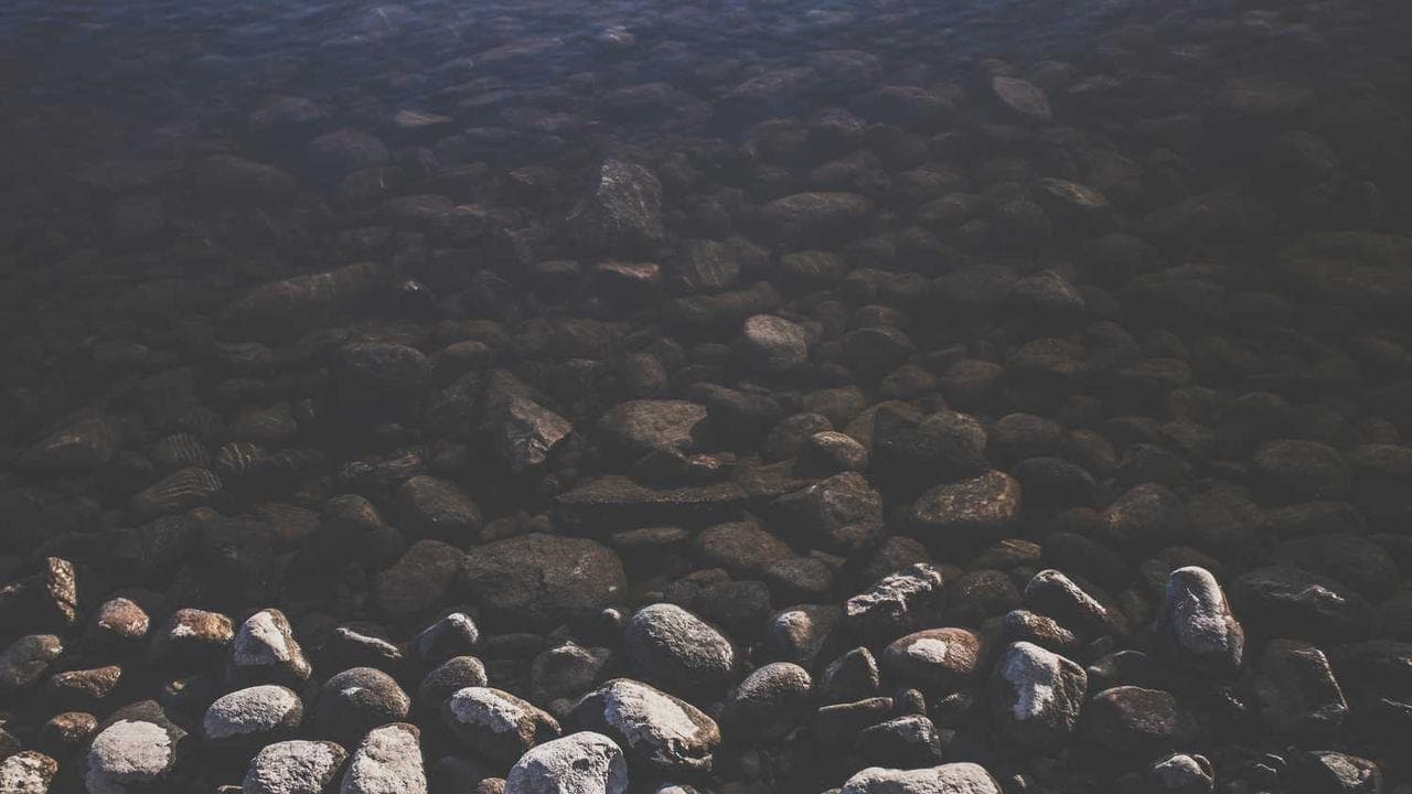 Achtergrond voor Fill Him Up 2