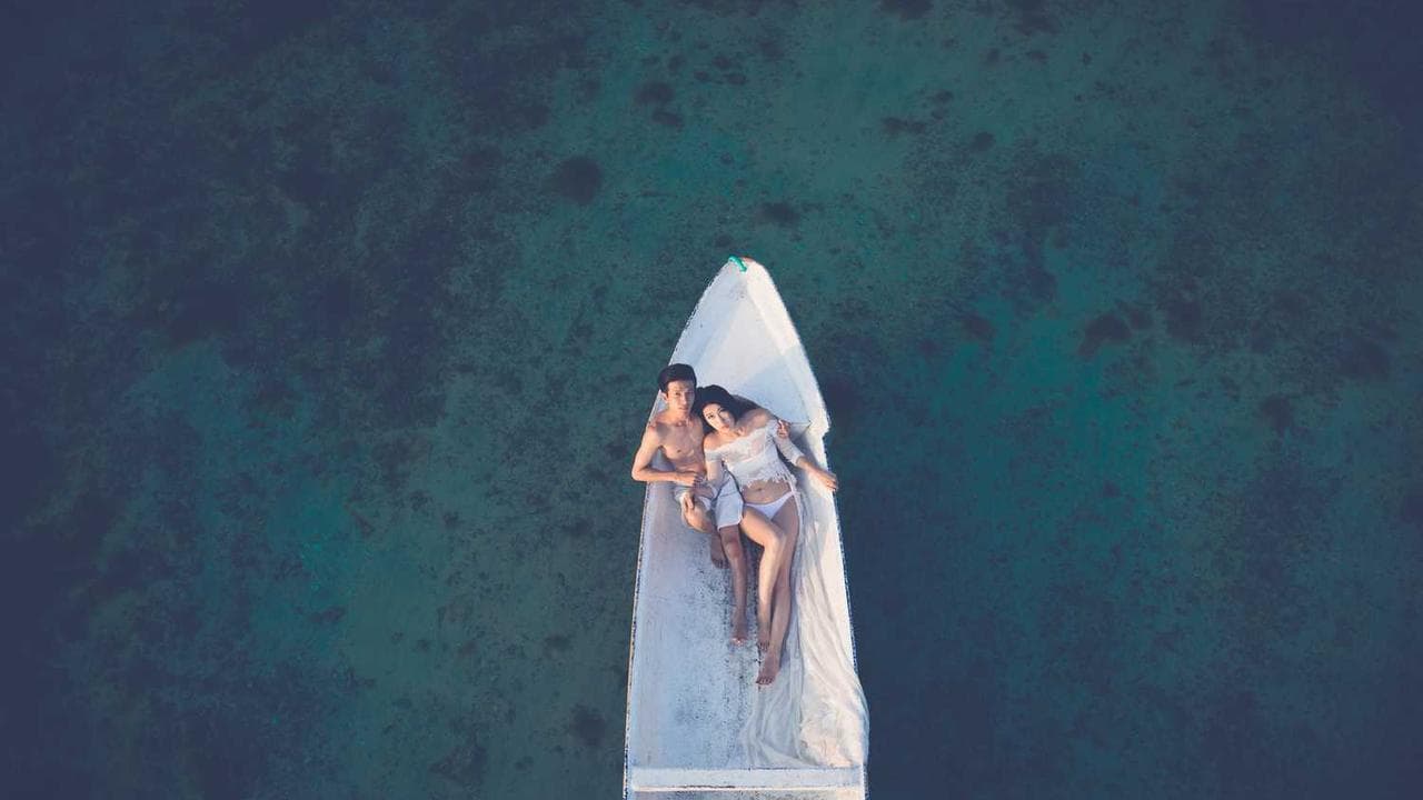 Backdrop for Digital Romance
