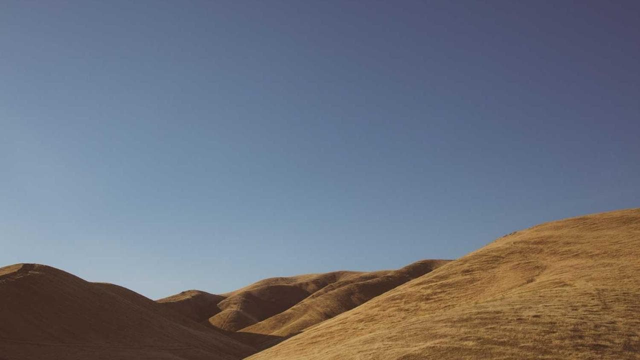 Backdrop for حائط البطولات