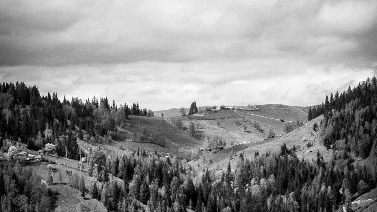 Backdrop for Kærlighedsvalsen