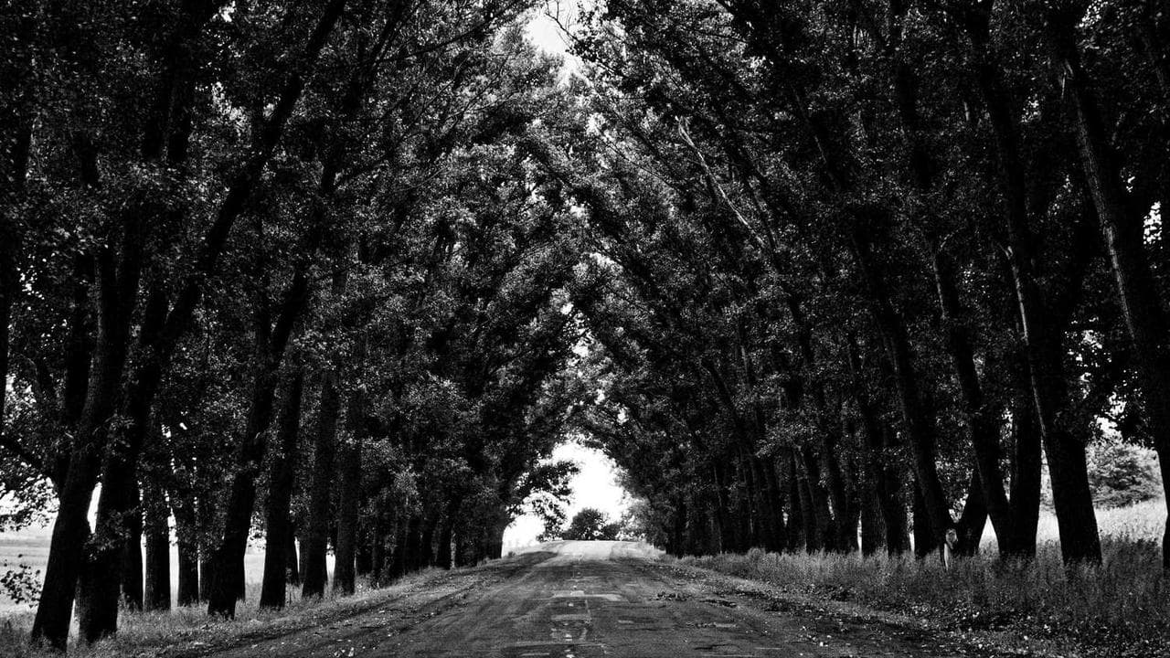 Backdrop for Sıradan Bir Gün