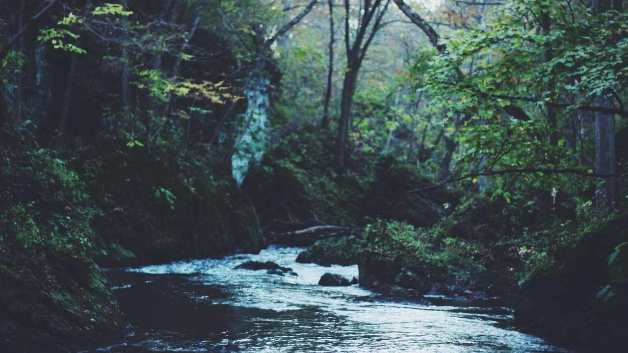 Backdrop for خوشگل خوشگلا