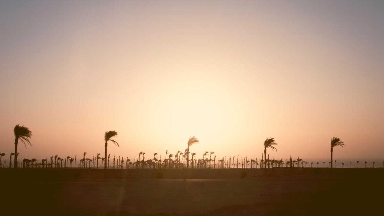 Backdrop for فيس أبوك