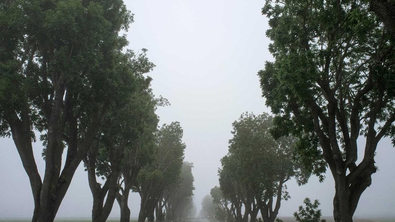 Achtergrond voor A Girl Knows 2