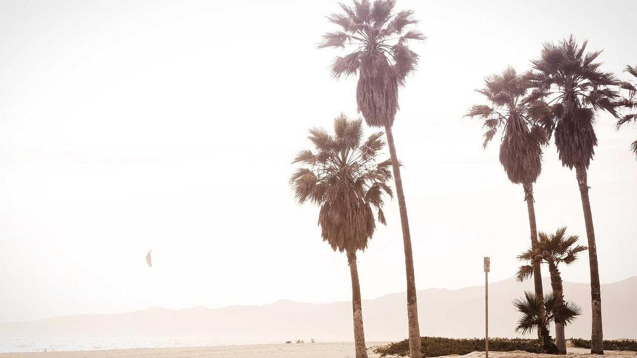 Backdrop for A Beachcombers Christmas